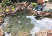 Pond Cleaning in London: Ensuring a Healthier and More Beautiful Water Garden