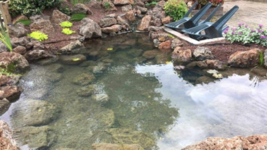 Pond Cleaning in London: Ensuring a Healthier and More Beautiful Water Garden