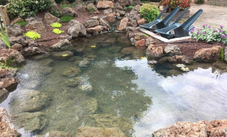 Pond Cleaning in London: Ensuring a Healthier and More Beautiful Water Garden