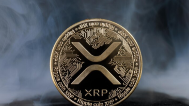 XRP Price: The Effect of SEC Lawsuit Developments