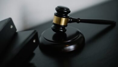 images in judicial decisions
