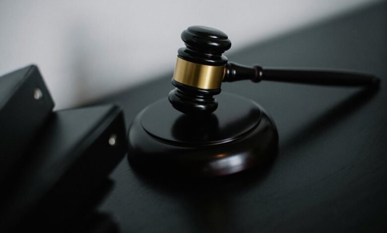 images in judicial decisions