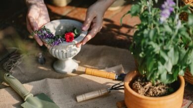 online tools for growth