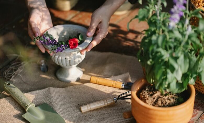 online tools for growth