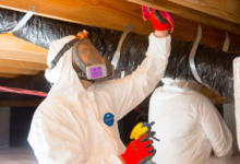 How to Effectively Manage Attic Mold in Your Home