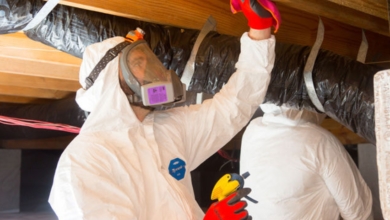 How to Effectively Manage Attic Mold in Your Home