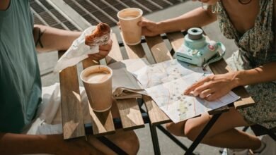 activity snapshot overview