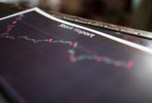 comprehensive insight brief analysis