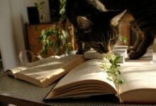 integrated knowledge summary analysis