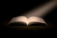 operational data analysis report