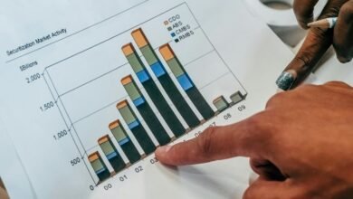 sector review document summary