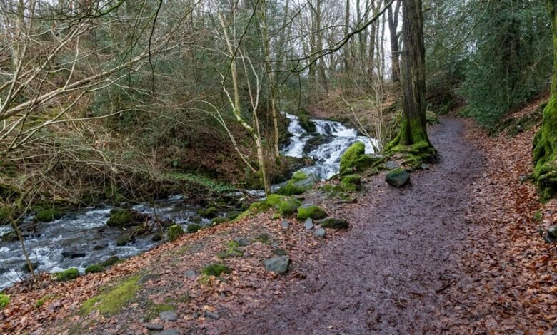 hypernova flow strategic route