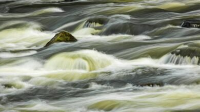 smart growth momentum strategy