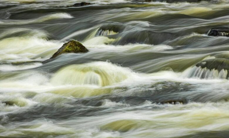 smart growth momentum strategy